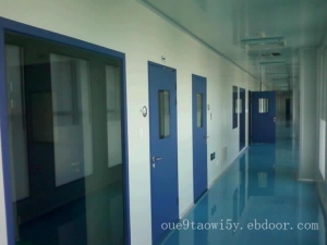 wujiangSteel clean door